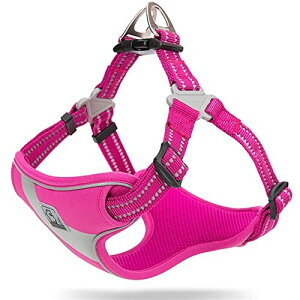 J&C Paradise K n[lX {KX p ȒP ڗ 3M y SȂ  lC v ʋC TRUELOVE (sN, L)