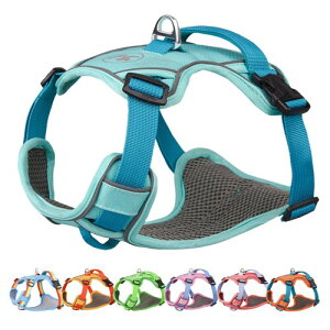 Paipeper  n[lX ^ ^ ^n[lX p  hbOEGA h~ Ԕ p \ ȒP  Uiu[Lj