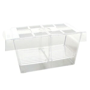 MaT store  uP[X ɐBu{bNX t  Mы ӏ {bNX AN