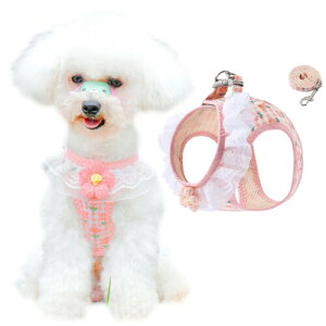 DICOCO n[lX [h p xXg  { ̕SȂ ^ ^ q   EȒP Ȃ Lpn[lX t U  \tgn[lX(sN XS)