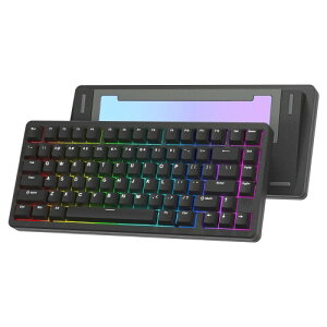 Womier SK75 Q[~OL[{[h A~ 75%@BL[{[h Bluetooth/2.4G/Wired zbgXbv XCb`\ KXPbg RGBCgt PBTL[Lbv (ubN)