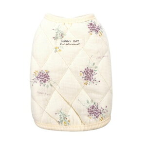   Rbg100 RbgK[[100 ^ ^ h / ybg pW} v[g ɂ₳ tďH~ ԕ  (S`XL) (CG[×oCIbg, S)