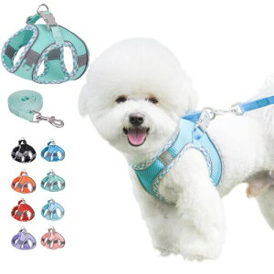 KUVEELA PET ^ L ^ n[lX [hZbg [v   hbOEGA ˌXgbvt bV  ߉\ U EȒPiO[ XSj