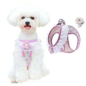 DICOCO n[lX [h p xXg  { ̕SȂ ^ ^ q   EȒP Ȃ Lpn[lX t U  \tgn[lX(p[v XS)