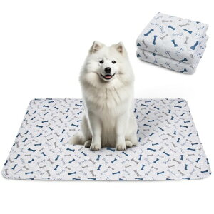 STVICTORY ybgV[c 􂦂  L ybgp }bg ~ ybg}bg ~ h  L q/VjẢV[c JԂgp\  3F 100x67cm 2Z