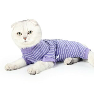 p㕞 Lp ybgpEFA 앞 畆ی sDp ی D r ~h~ pp j̎q ̎q p (S TCY, u[)