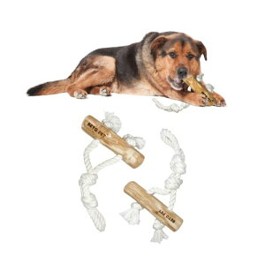 BETO PET ނ R[q[̖ with _uRbg mߋ R[q[̖  XgX Y 100%i` VR R[q[Ebh Rbg xgiY ^ ^ 