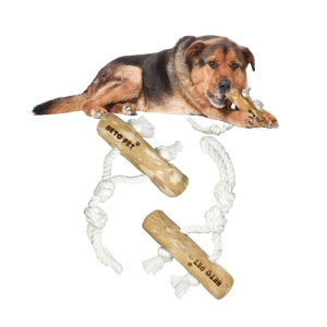 BETO PET ނ R[q[̖ with _uRbg mߋ R[q[̖  XgX Y 100%i` VR R[q[Ebh Rbg xgiY ^ ^ 