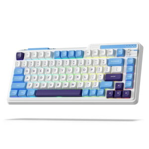 K75 Lite CX JjJ L[{[hA75% KXPbg }Eg RGB Q[~O L[{[hA3 [h mutABT 5.0/2.4G/USB-C LAzbgXbv\A5 wpbhƃN[~[ 