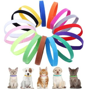 ybgpʎ 15FZbg qL qp V ybg oY  q V _̑f }WbNe[vt _uTCh  y ߉\ ȒP