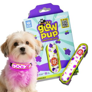 LaRoo  U Cg  USB`[W Ԃ̈ړ΍ F 3̔[h y22 g (KAցA[hApn[lX)^E^p ybgpi (uhE)