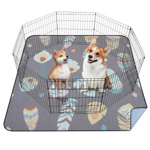 LOOBANI 􂦂ybgV[c z ybg}bg h ~ }bg  Rh~ ybǧNԂ̊ώ@ ȃfUC L  GR ݑϐ RۉH qƃV