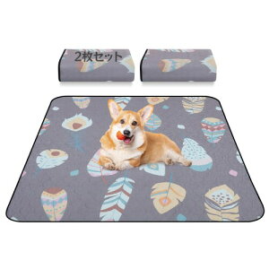 LOOBANI 􂦂ybgV[c z ybg}bg h ~ }bg  Rh~ ybǧNԂ̊ώ@ ȃfUC L  GR ݑϐ RۉH qƃV