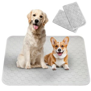 Para Sora 􂦂 ybgV[c L p 2Zbg(60×45cm) ~ h ybg}bg z L ybgV[c ld\ Rh~  JԂgp\ ۂƐ􂦂 (Cg