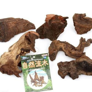 `󂨔C R ~ji15cmȉj 2{