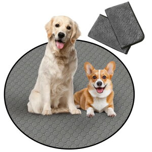 Para Sora 􂦂 ybgV[c ی^ L p 2Zbg(a90cm) ~ h ybgV[c p`ybgT[NɍœK z L V[c ld\ Rh~  JԂg