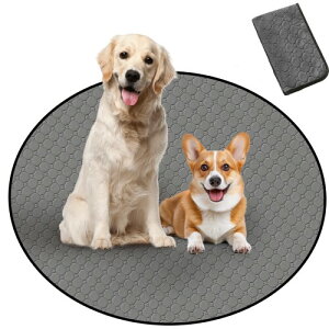 Para Sora 􂦂 ybgV[c ی^ L p(a120cm 1) ~ h ybg}bg p`ybgT[NɍœK z L V[c ld\ Rh~  JԂgp\