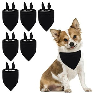 HACRAHO v[hbOo_iA 6 PCS ubNybggCAOXJ[t ƔL̂߂ ybgo_iA 