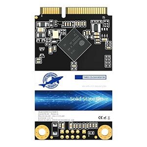 Dogfish Msata 500GB ^ ~j n[hfBXN SSD Disk (500GB, MSATA)