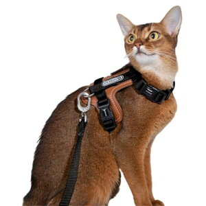 Lucky Friends Ȃ L n[lX [ht Up TCY߉\ ɂ ȒP Lp [hZbg iubNj