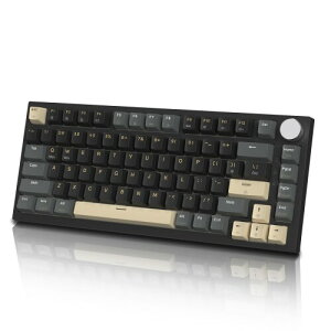 ATTACK SHARK K85 75�� ���s�b�h�g���K�[ �Q�[�~���O�L�[�{�[�h ���C�X�C�b�` �K�X�P�b�g�}�E���g �z�b�g�X���b�v�Ή� �A���`�S�[�X�g PBT�L�[�L���b�v TKL 82�L�[ �m�u�t�� �L��Type-C�ڑ� Windows