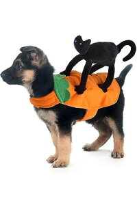 ybgpbg  L RXv nEB ybg  ϑ  ^ ^ ^ 2s (NlR, S)