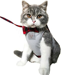 IKENOKOI Lpn[lX [v  p[h Up o ȒPE ʋC fUC(O[ XL)