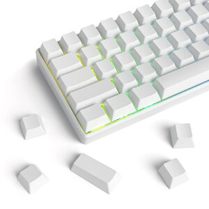 Cherry �v���t�@�C�� �u�����N PBT �L�[�L���b�v 128 ���� ���ϋv����d�l �~�j�}���X�g�z���C�g US ���C�A�E�g MX �X�C�b�`�@�B�L�[�{�[�h�p(White Blank)