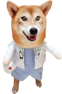 ybgpbg  L RXv nEB ybg  ϑ  ^ ^ ^ 2s (, S)