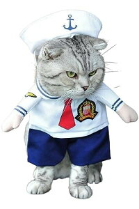 ybgpbg  L RXv nEB ybg  ϑ  ^ ^ ^ 2s (D, M)