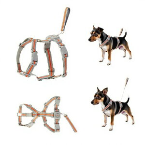  n[lX ^/^/^n[lX p 1.5mLkps[t s⏕ U ʋC ȒPE h~ S Ԕˍ n[lX[ȟ^ZbglGp (LTC