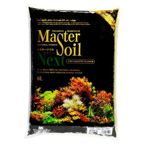 JUN }X^[\ClNXg 8L pE_[