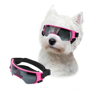 Lesypet^TOXA^S[OA̖ڂیAEghAOh~KlAsN