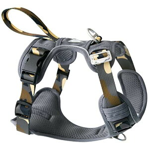 JC HOUSE ^ n[lX h~ AEghAvdl /U/Pp nXL[ES[fΉ ΔȂϏՌ݌v CǕی ʕ 3M qA~obN ω׏d200k