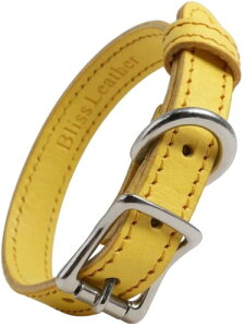 {  {v  ( C^AU[ eyXeB MAINE ) ^ ^ ybgpi TCY ߉\ hbOJ[ y  킢 v n uh xg т