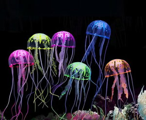 siawadeky �l�H�N���Q �u�� 6�_�Z�b�g ���F ���킢�� �����I�[�i�����g ���V���� �A�N�A���E�� �C���e���A �����ُ��� �N���Q���� ��i���� �V���R���� �������� �J���[�N���Q �����ّ���