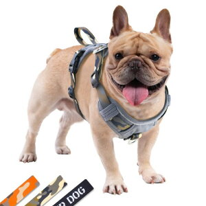 JC HOUSE  n[lX ^ Ȗh~ AEghAPΉ p/Up r[OE{[_[R[ \Xgbv h~ ʕ 3M vn[lX (O[CM)