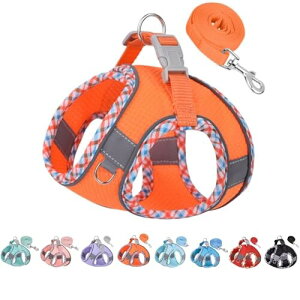  n[lX [hZbg SȂ y ʋC pn[lXLn[lX  ȒPE Ȃ ́[˂^ 3MTMˑfޕt }WbNe[v ^ ^ ߉\ y