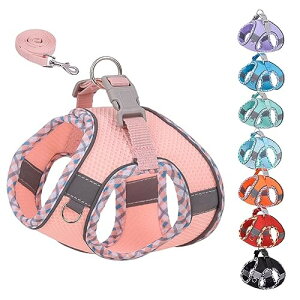 KUVEELA PET ^ L ^ n[lX [hZbg [v   hbOEGA ˌXgbvt bV  ߉\ U EȒPisN Lj