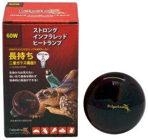 [XC XgO Ctbhv 60WbԊOۉvEϔM݌v