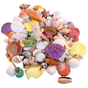 siawadeky �J���t�� �L�k 500g �A�\�[�g �Z�b�g �V�R�f�� �~�b�N�X �r�[�`�V�F�� ������/����/���A��/�h���t�g�{�g�� ���� �r�[�`���� DIY�p �ӏܗp �W���G���[ �A�N�Z�T���[�p�[�c ��|�p�i