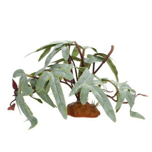 FOMIYES  ybg gJQeE    lH Jiwr    n̑ gJQ  ޑ eERei   tF v NXebhQbR[ \ 