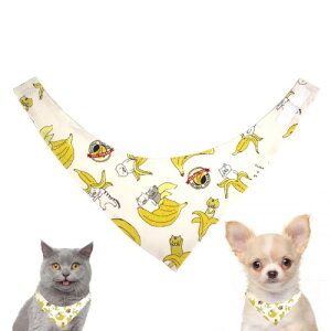 COCOLUCK RRbN L o_i a Rbg  }WbNe[v   ^ ybg ybgpi  o (oiiL)