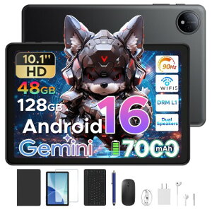 90Hz, 48GB+128GB (2TB�g��)