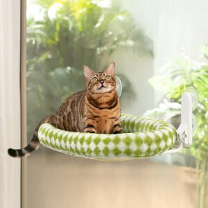 GUUSII ܏ݎ ˂nbN ˂xbh NbV ȐpCv 2025NVfUC z LpnbN L zՎ ybgxbh ˂ lR ۃ}bg ʋCbV  􂦂