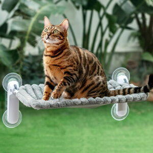 GUUSII HOME ˂xbh LnbN lRnbN Lxbh zՎ pLnbN ӂӂ ܂݉\ 2025V^ (O[(LeBO), M)