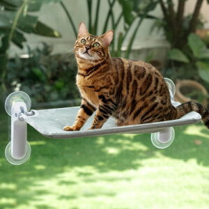 GUUSII HOME ˂xbh LnbN lRnbN Lxbh zՎ pLnbN ӂӂ ܂݉\ 2025V^ (O[(tl), M)