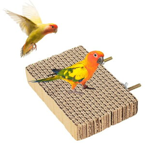  ~܂ IE  i{[  CR Ƃ܂ X^h ܌ p[` CR ނ  g[jO ~܂  IJCR ZLZCCR  Ƃ܂ (