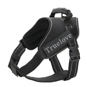 IKENOKOIpn[lX p 3Mˍޗ ʋC ߉\ U o ^A^A^ɌiubN 3XL 96-138cmj