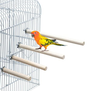 CR Ƃ܂ 4{Zbg VR  ~܂ X^h ܌ CR  AX`bN  p[` ނ IJCR ZLZCCR IE  XgX 12cm 14cm 1